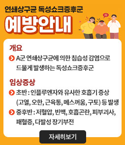 연쇄상구균 독성쇼크증후군
예방안내
ㆍ개요
A군 연쇄상구균에 의한 침습성 감염으로 드물게 발생하는 독성쇼크증후군
ㆍ임상증상
- 초반 : 인플루엔자와 유사한 호흡기 증상(고열, 오한, 근육통, 메스꺼움, 구토) 등 발생
- 중후반 : 저혈압, 빈맥, 호흡곤란, 피부괴사, 패혈증, 다발성 장기부전
자세히보기