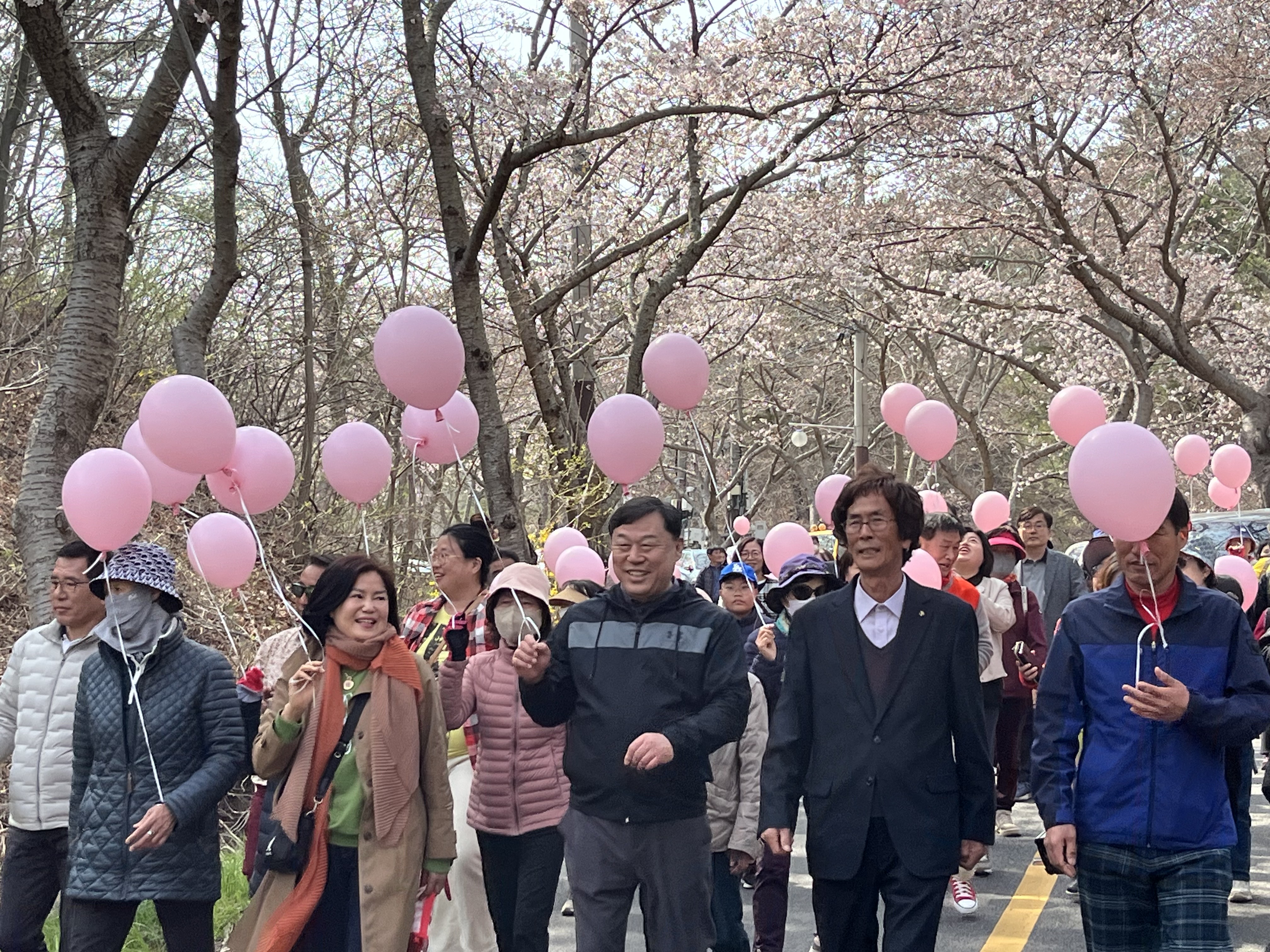 제7회 남목3동 벚꽃축제2