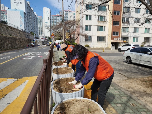 통장회 초화류 식재