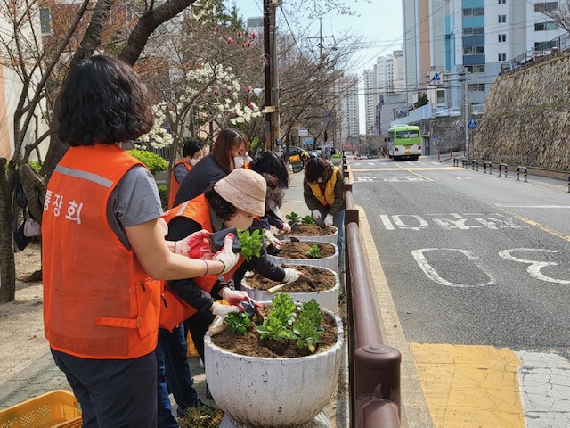 통장회 여름맞이 초화류 식재