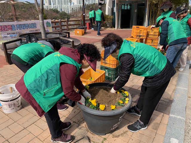 새마을단체 초화류 식재