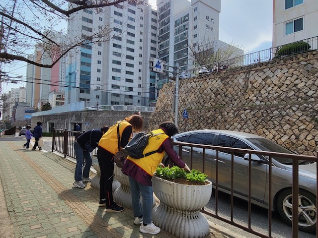 여성자원봉사회 초화류 식재