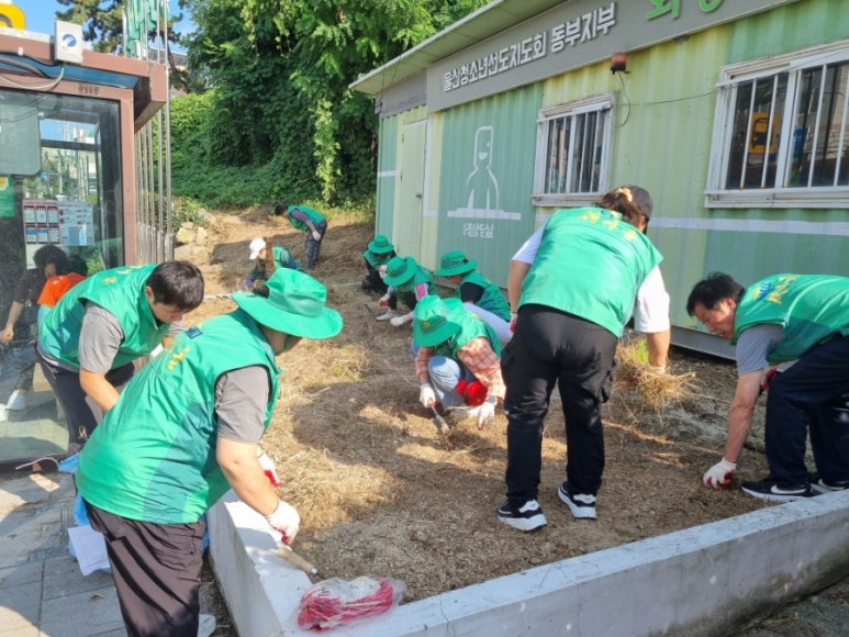 2025년 여름철 자생단체  합동 환경정비